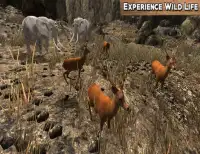Wild Life Animals Adventure Screen Shot 5