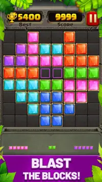 Block Puzzle Guardian Screen Shot 0