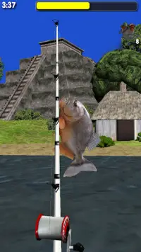 Real World Fishing 3d Offline Screen Shot 2