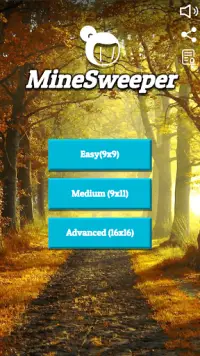 Minesweeper Master  Classic: New Pro Screen Shot 0