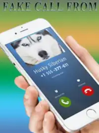 Fake Call from Siberian husky dog Screen Shot 2