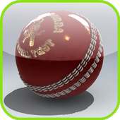 Free Cricket Games