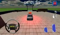 Russian Police Driver Sim 3D Screen Shot 2
