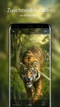 Hintergrundbilder mit Tiger 4K Screen Shot 3