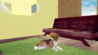 Simulator Anjing Hound Screen Shot 2