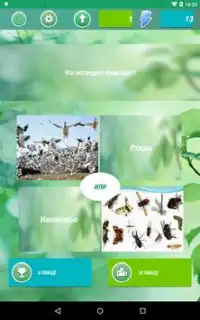 Try to guess. Flora and Fauna Screen Shot 0