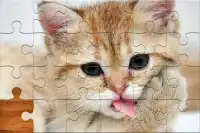 Jigsaw Puzzles Free Screen Shot 1