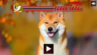 Dog Race Screen Shot 0
