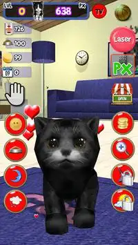 Homeless Cat : take care this virtual pet Screen Shot 3