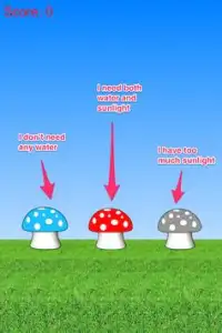 Cute Mushroom Grow Up Quickly Screen Shot 1
