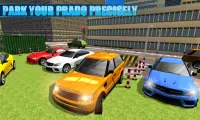 Car Parking Car Driving Sim 3D Screen Shot 3
