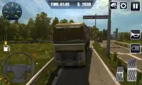 Heavy Cargo Truck Driver 3D Screen Shot 3
