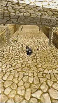 Temple Maxx Desert Run 3D Screen Shot 2