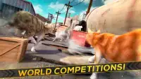 3D Cat Simulator Game For Free Screen Shot 9