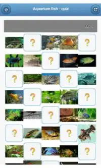 Aquarium fish - quiz Screen Shot 0