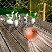 Real Bowling King 3D - World League 2019