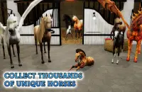Horse Academy - Equestrian MMO Screen Shot 11