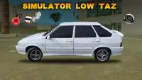 Simulator Low Taz Screen Shot 0