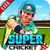 Super Cricket Championship