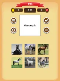Paarden - Quiz Screen Shot 16