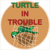 Turtle In Trouble