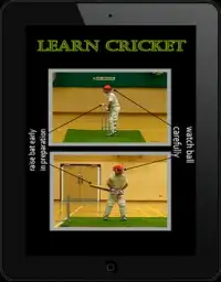 Learn Cricket 2017 Screen Shot 7