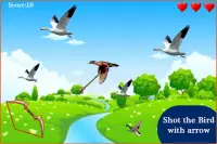 Birds shooter Angry Hunting Screen Shot 2