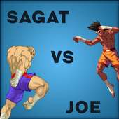 Sagat vs Joe - Official Game