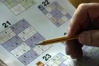 Sudoku Game Screen Shot 2