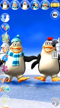 Hablar Pengu y Penga pingüino Screen Shot 0