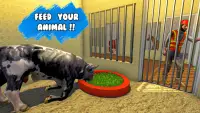 Virtual Animal Shelter Buddies Screen Shot 3
