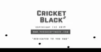 Cricket Black 2 Screen Shot 8