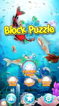 Block Puzzle 2021 - New Screen Shot 0