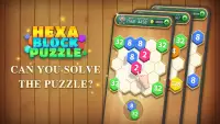 Hexa Block Puzzle - Merge! Screen Shot 5