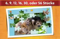 Puzzlespiel mit Baby Tieren Screen Shot 7