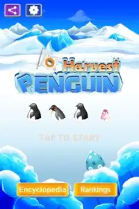 harvest Penguin Puzzle games Screen Shot 1