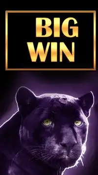 Safari Slots –  Wild Gold Lion Screen Shot 1