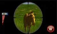 Zebra Safari Hunter - Wild Hunter 3D Simulation Screen Shot 1