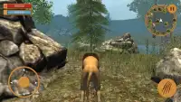 Angry Killer Lion 3d Simulator Screen Shot 4