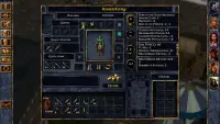 Baldur's Gate: Enhanced Edition Screen Shot 5