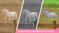 Star Stable Horses Screen Shot 4