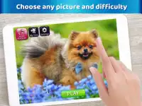 🐕 Dog Jigsaw Puzzles - Free Puzzle games Screen Shot 1