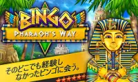 Bingo - Pharaoh's Way Screen Shot 4