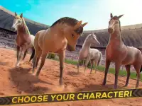 Kuda Olahraga Juara Dunia Screen Shot 5