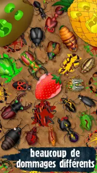 Hexapod jeux insecte coléoptères fourmis punaises Screen Shot 3