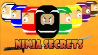 Ninja: Ninja secrets Screen Shot 6