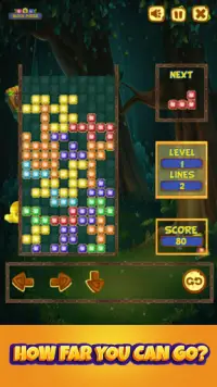 Block Puzzle Jungle Edition Screen Shot 2