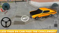 Car Parking and Driving - 3D Simulator Screen Shot 1