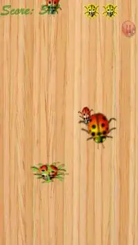 LadyBug Smasher Screen Shot 3