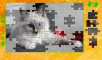 Terbaik permainan puzzle Screen Shot 5